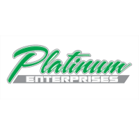 Platinum Enterprises Logo