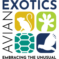 Ramon de Armas, DVM, GPCert(Exotic Animal Practice) Logo