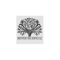 Brothers Tree Service LLC Logo