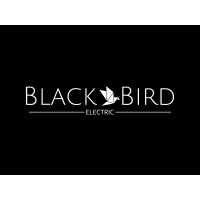 Black Bird Electric Logo