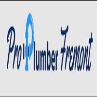 Pro Plumber Fremont CA Logo
