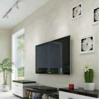 TV Mounting and Handyman Services - Same Day Service Logo