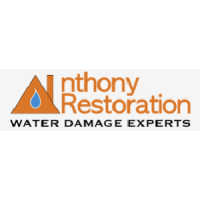 Anthony Restoration of Tysons Logo