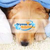 Drymaster Solutions Logo