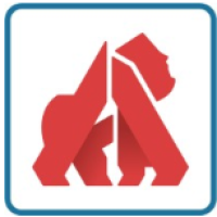 Kong Academy Logo