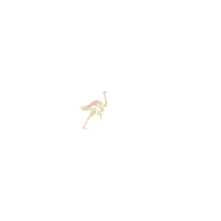 WearOstrich Logo