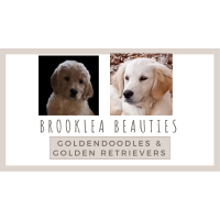 Brooklea Beauties ~ Brooklea Farms Logo