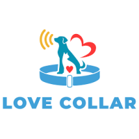 Love Collar Logo