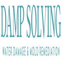 Damp Solving Water & Mold Logo