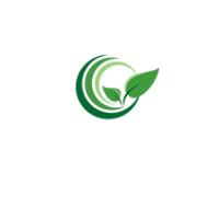 Direct Scenes Services Logo