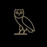 Night Owl Chauffeur Services Logo