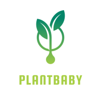 plantbaby Logo