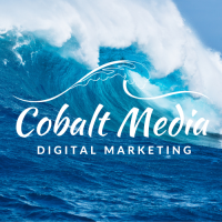 Cobalt Turtle Media LLC Logo