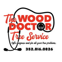 The Wood Doctor Tree Service Logo
