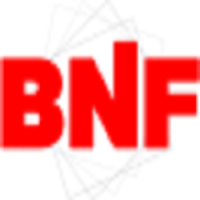 BNF Roofing Logo