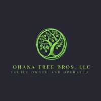 Ohana Tree Bros Logo