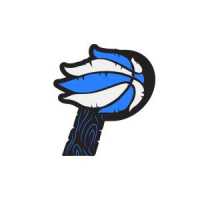 Phame Sports Academy Logo