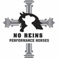 No Reins Performance Horses LLC Logo