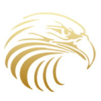 Eagle duct clean Logo