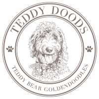 Teddy Doods: Goldendoodles & Poodles Logo