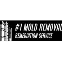 Mold Removal Logo
