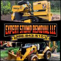 Expert Stump Removal, LLC Logo