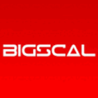 Bigscal Technologies Pvt. Ltd. Logo