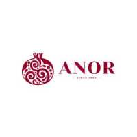 Anor 1985 Restaurant Logo