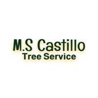 M.S. CASTILLO TREE SERVICES Logo