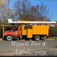 Miguel's Tree & Landscaping Logo