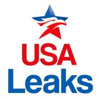USA Leaks Logo