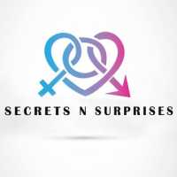 Secrets N Surprises Logo