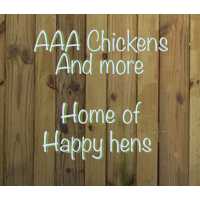 AAA chickens and More LLC Logo