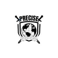 Precise Global Protection Services Logo