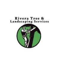 Rivera Tree & Landscaping Services Logo
