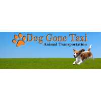 Dog Gone Taxi Logo