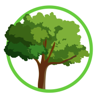 Branches Tree Service Logo