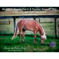 Beauty's Haven Farm and Equine Rescue, Inc. Logo