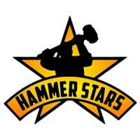 Hammer Stars, Inc Logo