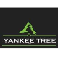 Yankee Tree LLC Logo