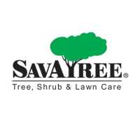 SavATree - Tree Service & Lawn Care Logo