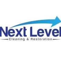 Next Level Services Logo