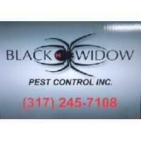 Black Widow Pest Control Logo