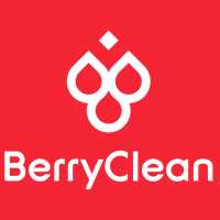 BerryClean Logo