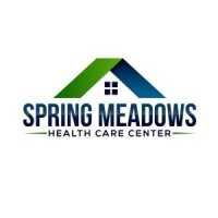 Spring Meadows Health Care Center - Bedrock Healthcare Logo