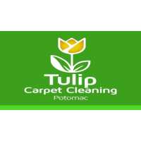 Tulip Carpet Cleaning Potomac Logo