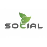 SocialLeaf Automotive Logo