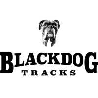 BlackDogTracks Logo