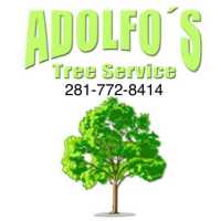 #1 Adolfo's Houston Tree service and Stump Grinding Logo