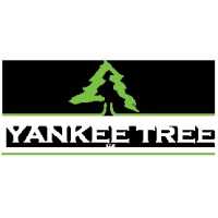Yankee Tree Service LLC Logo